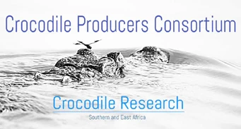 Crocodile Producers Consortium